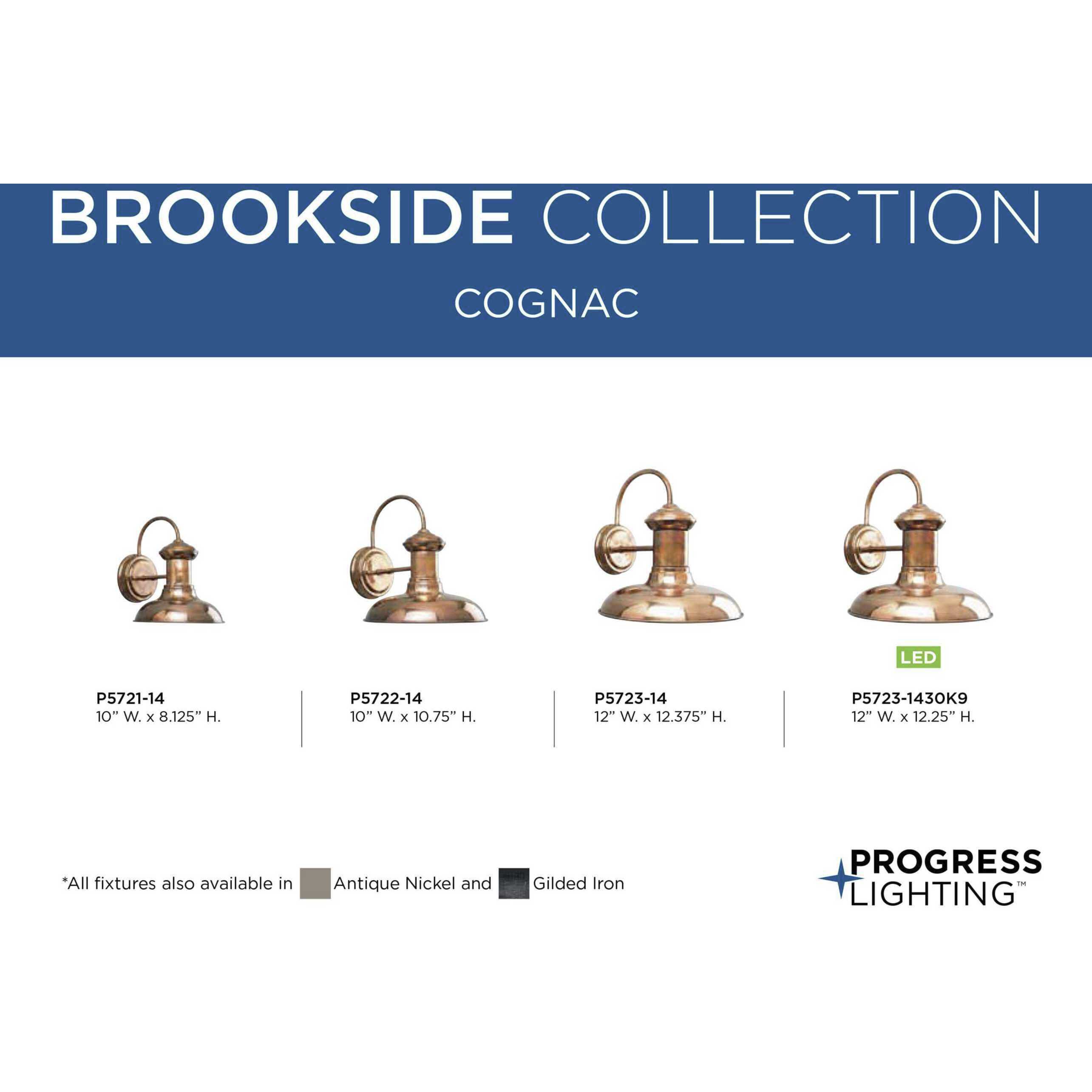 Brookside 1 Light 11 inch Cognac Outdoor Wall Lantern in Copper, Medium